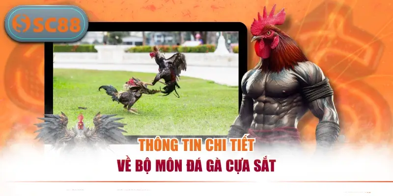 Thông tin chi tiết về bộ môn đá gà cựa sắt