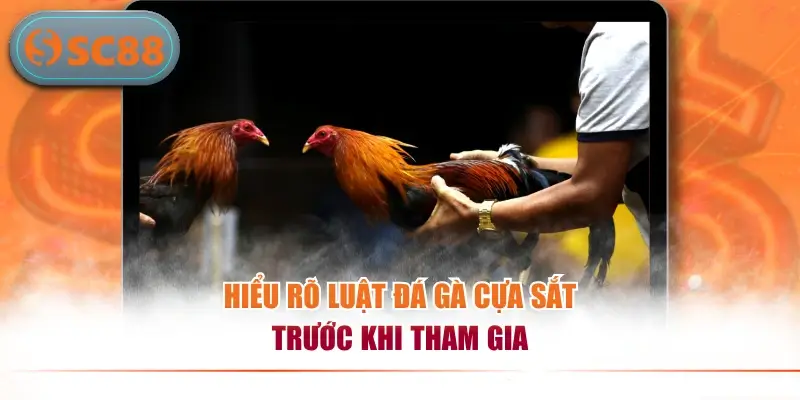 Hiểu rõ luật đá gà cựa sắt trước khi tham gia