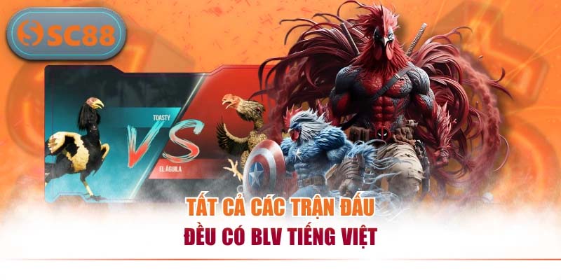 Tất cả các trận đấu đều có BLV tiếng Việt